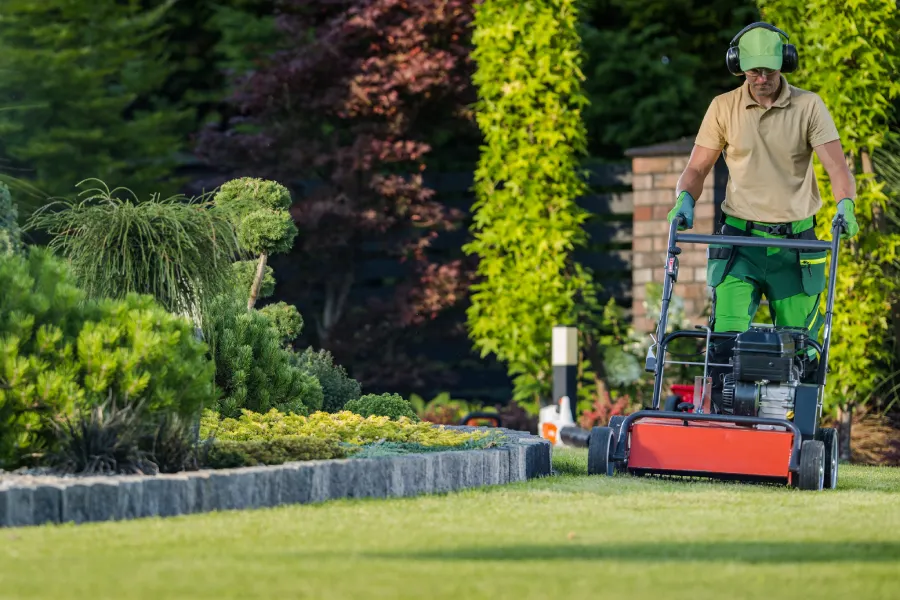 Seasonal Yard Maintenance Tips For Optimal Lawn Care Wilmington, NC Seasonal Yard Maintenance Tips For Optimal Lawn Care Wilmington, NC