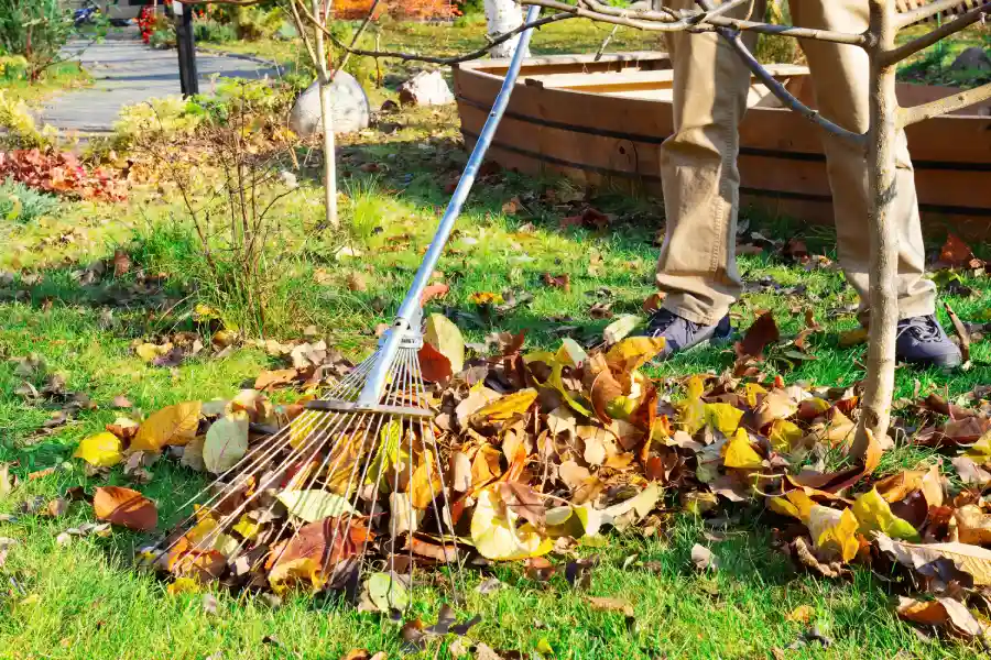 Seasonal Yard Maintenance Tips For Optimal Lawn Care in Wilmington, NC Seasonal Yard Maintenance Tips For Optimal Lawn Care in Wilmington, NC
