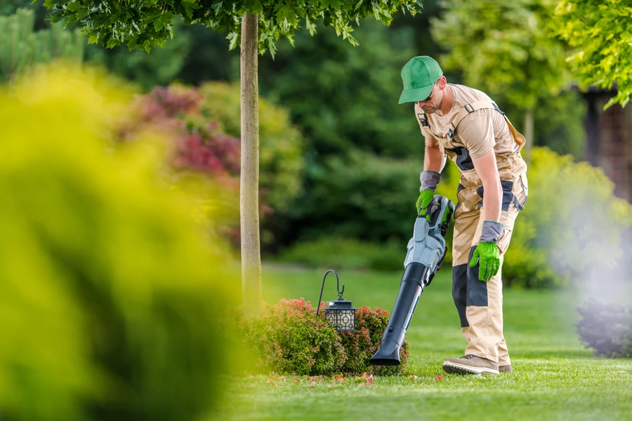 Why Consistent Yard Maintenance Enhances Curb Appeal in Wilmington, NC