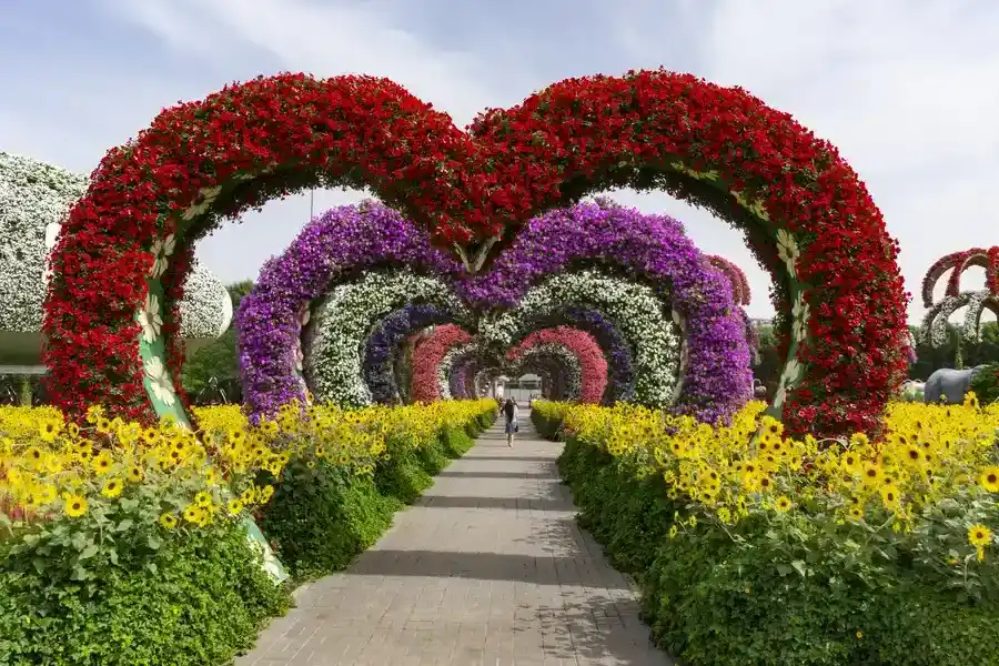 Excellent Landscape Installation Wilmington, NC