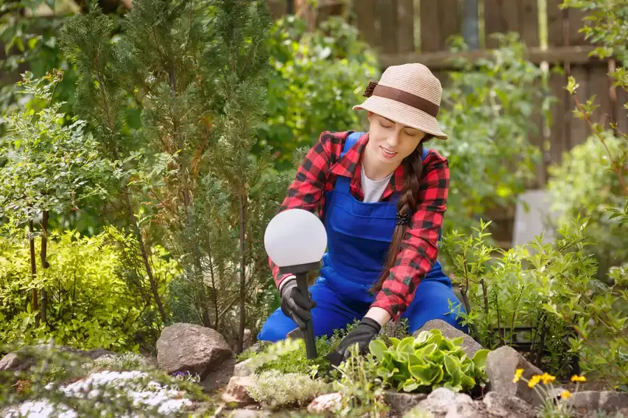 Maintaining Your Yard After Landscape Installation Work Wilmington, NC Maintaining Your Yard After Landscape Installation Work Wilmington, NC