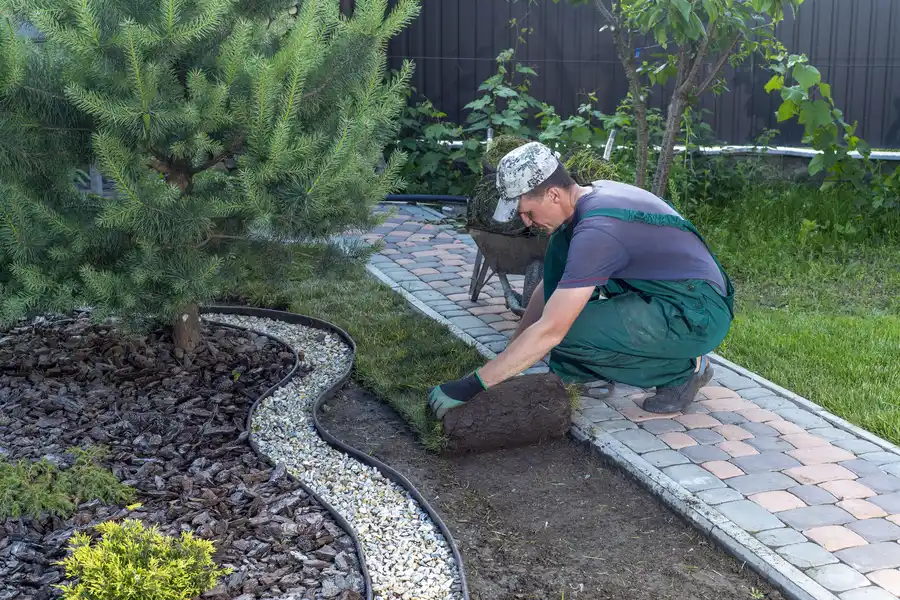 Reputable Landscape Installation Wilmington, NC
