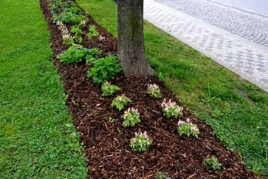 When To Schedule Mulch Installation For Gardens Wilmington, NC