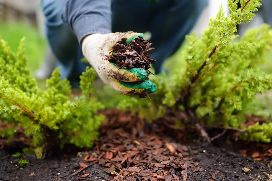 When To Schedule Mulch Installation For Gardens in Wilmington, NC